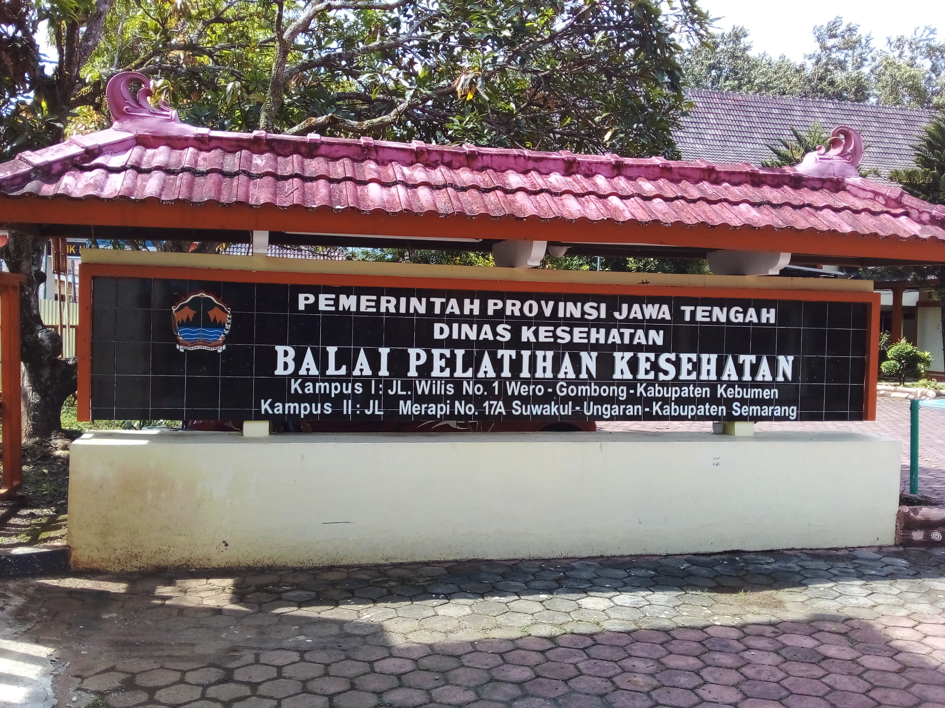 Terapi Gen CRISPR Berikan Harapan Baru untuk Penyakit Jantung Bawaan
