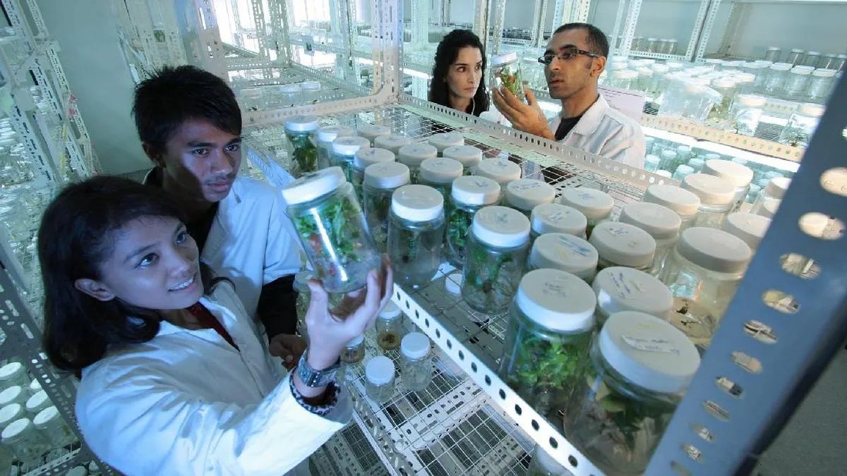 Mahasiswa Jember Ciptakan Laboratorium AI 'EtnoSphere' untuk Lestarikan Serangga