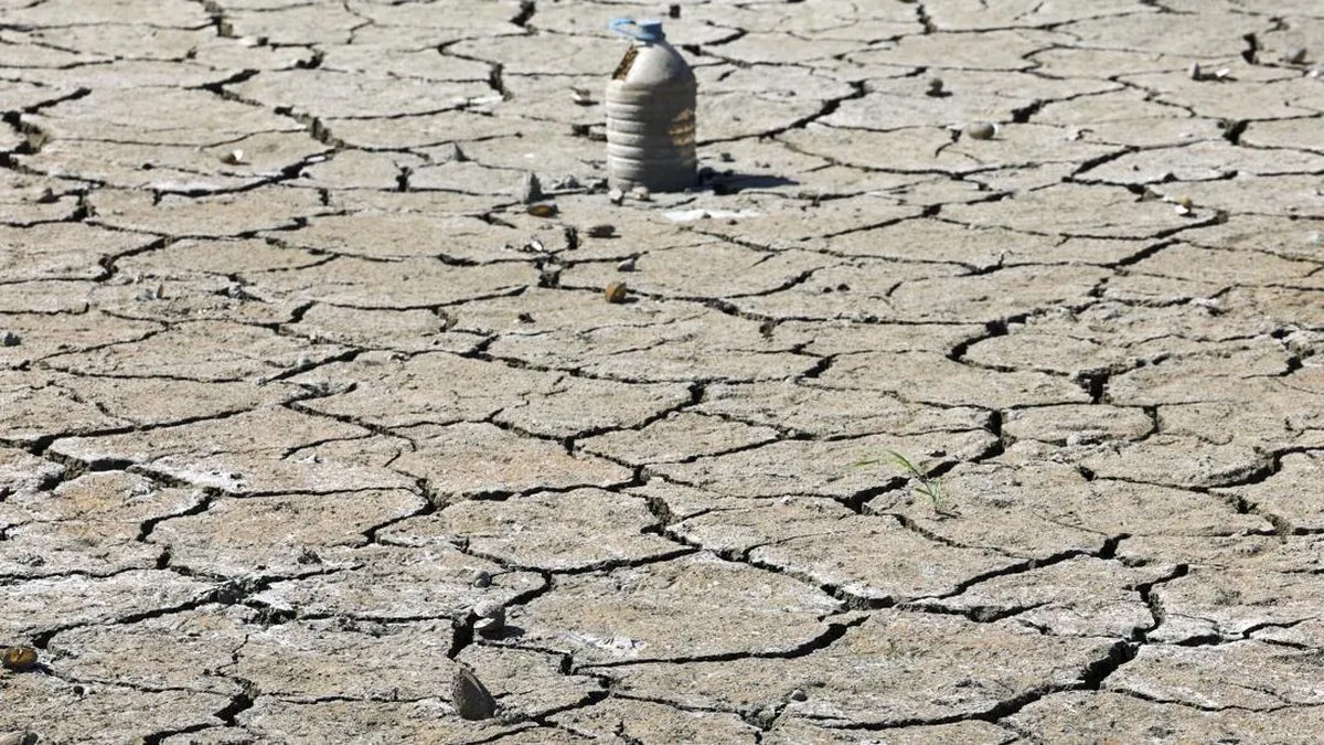 BRIN Prediksi Perpaduan El Nino 'Godzilla' dan IOD Positif Picu Kekeringan Ekstrem pada 2026