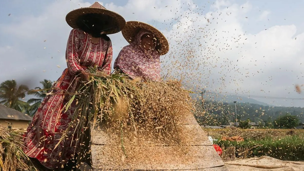 Konflik Timur Tengah Picu Kenaikan Harga Pangan Global di Maret 2026