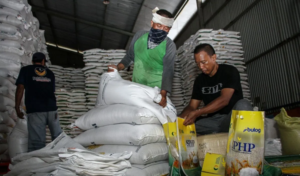Menanti Efek Strategi Bulog Atasi Gejolak Harga Beras Saat Panen Raya 2026: Optimalisasi Gudang dan Serapan Gabah