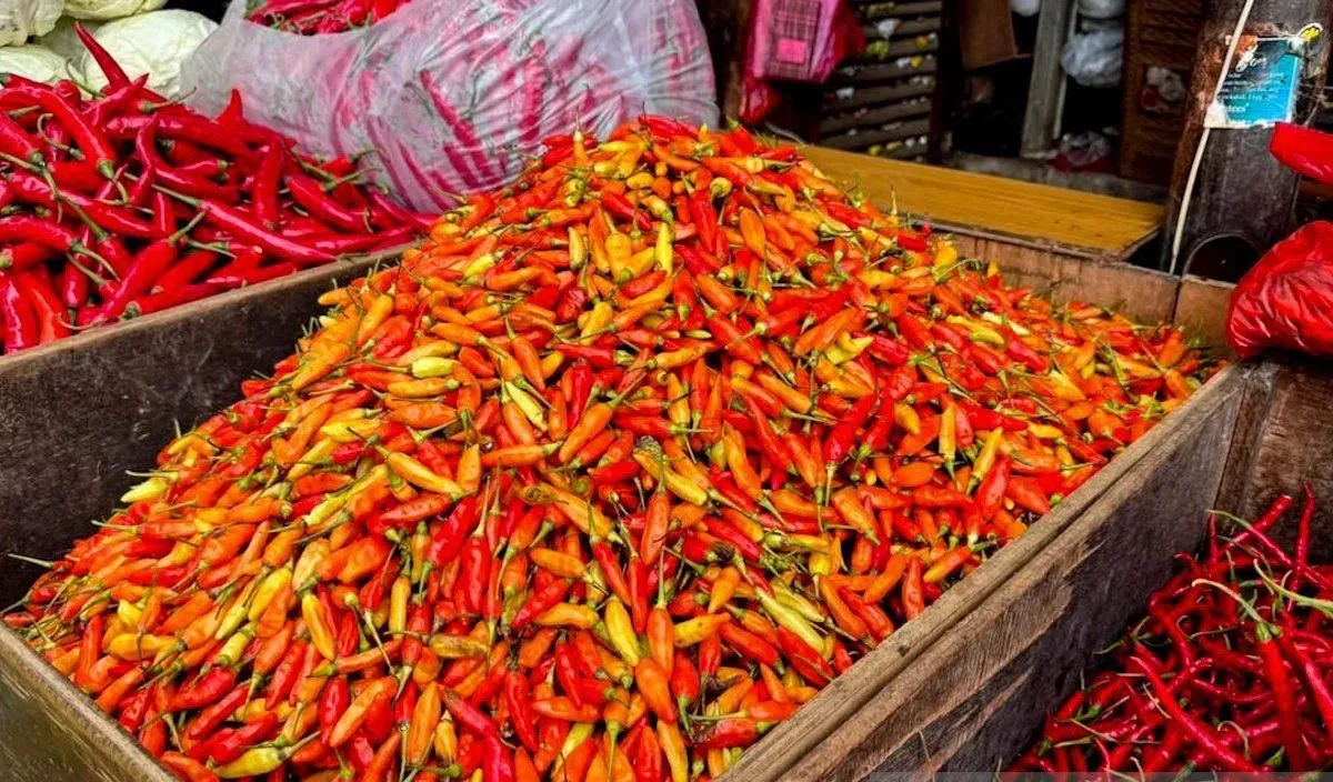 Harga Pangan Melonjak: Cabai Rawit Tembus Rp76.450, Telur Rp32.050 per Kilogram
