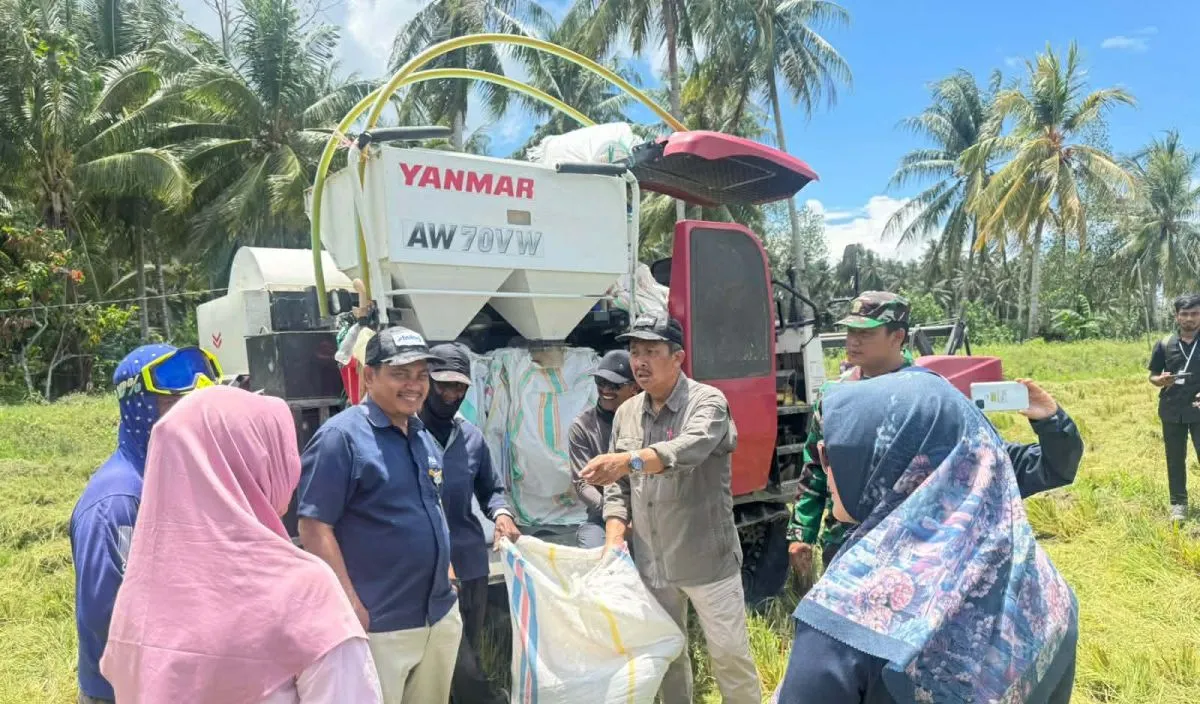 Bulog Desak Petani & Penggiling Tingkatkan Kualitas Gabah, Target Serapan 4 Juta Ton Beras 2026