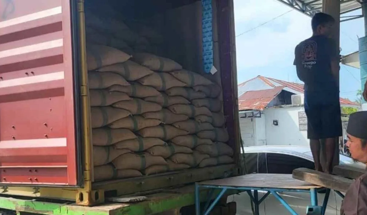 PEMA Buka Gerbang Ekspor Kopi Gayo ke AS, 19 Ton Meluncur April 2026