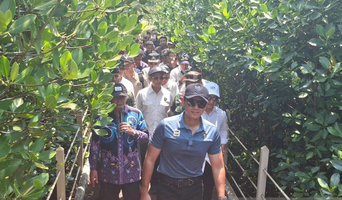 AHY Dorong Potensi Ekonomi Mangrove Melalui Ekowisata di Tangerang