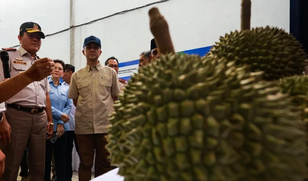 Mentrans Dorong Ekspor Durian Segar ke China, Nilai Ekonomi Tinggi di Tangan Transmigran