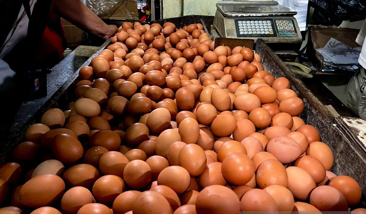 Harga Pangan Melonjak: Telur Rp32.300/Kg, Cabai Rawit Sentuh Rp71.550/Kg di Awal Pekan