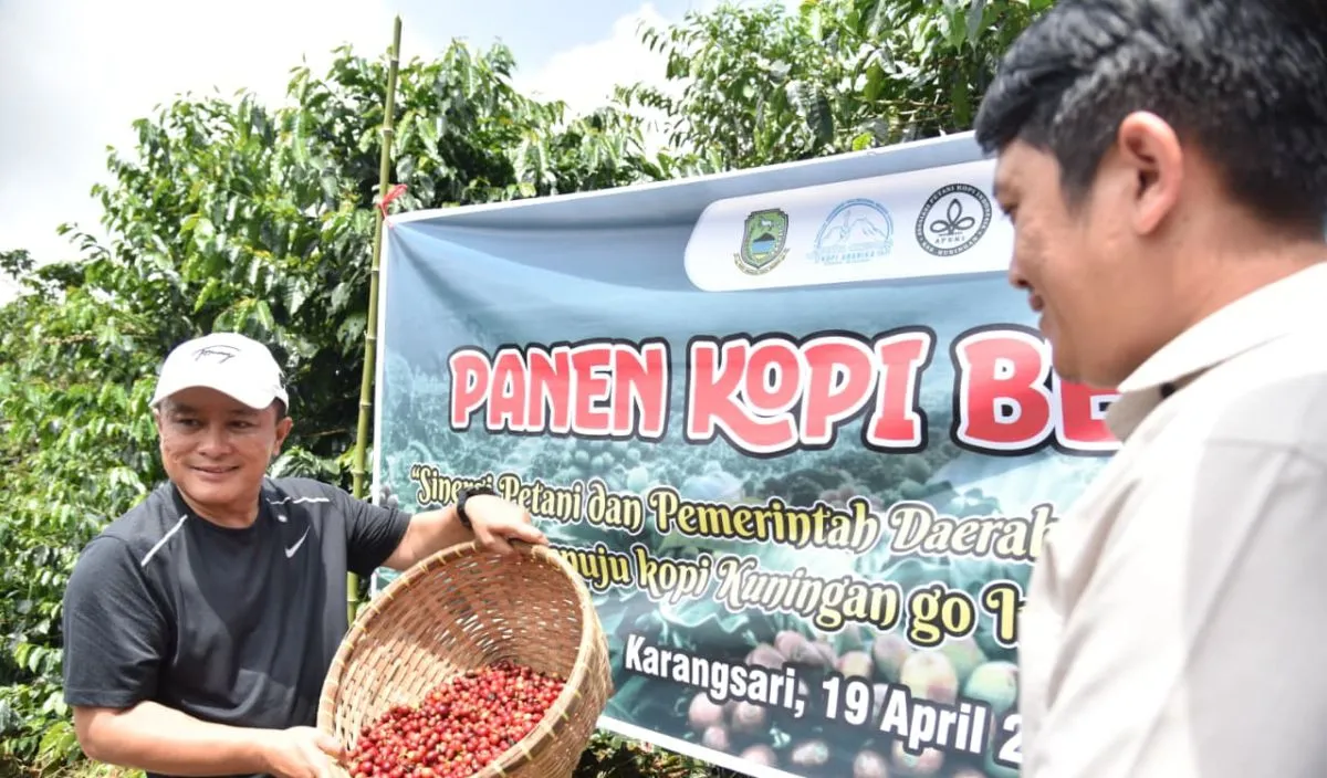 Kopi Kuningan Siap Mendunia: Lolos Kurasi Pameran Internasional dan Targetkan World of Coffee 2026