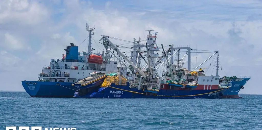 Perubahan Iklim Ancaman Ekonomi Tuna di Pasifik, Kiribati Paling Rentan