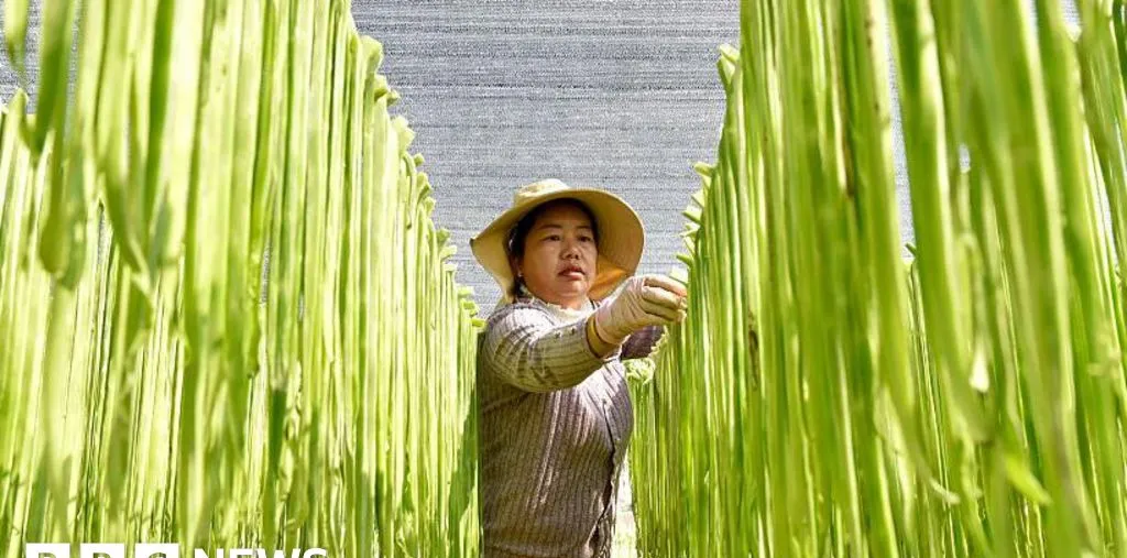 Mantan Bos Bank Dunia: China Harus Hentikan Penimbunan Pangan dan Pupuk untuk Atasi Krisis Pasokan Global