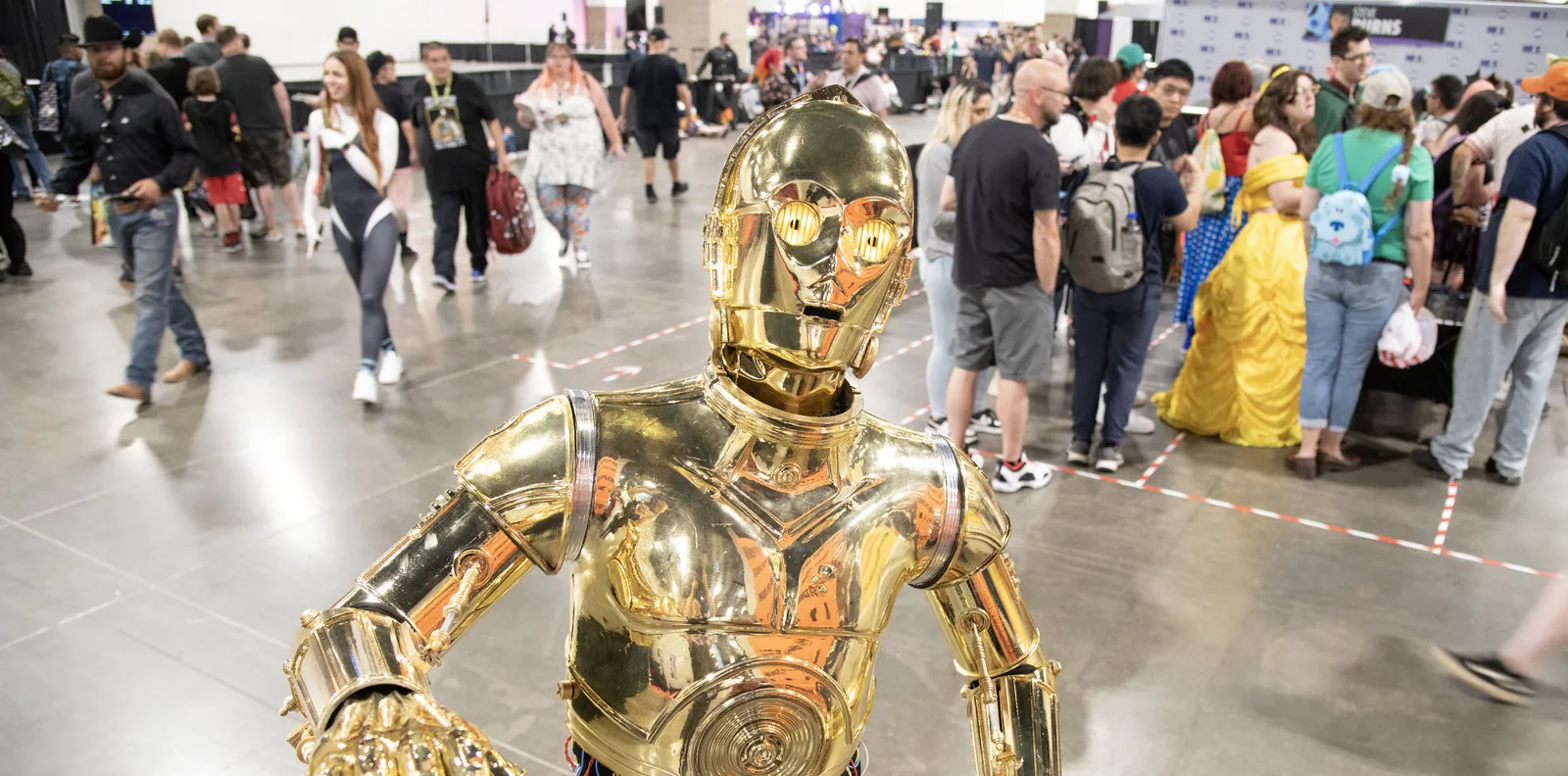 Southwest Airlines Larang Robot Mirip Manusia dan Hewan di Kabin Pesawat