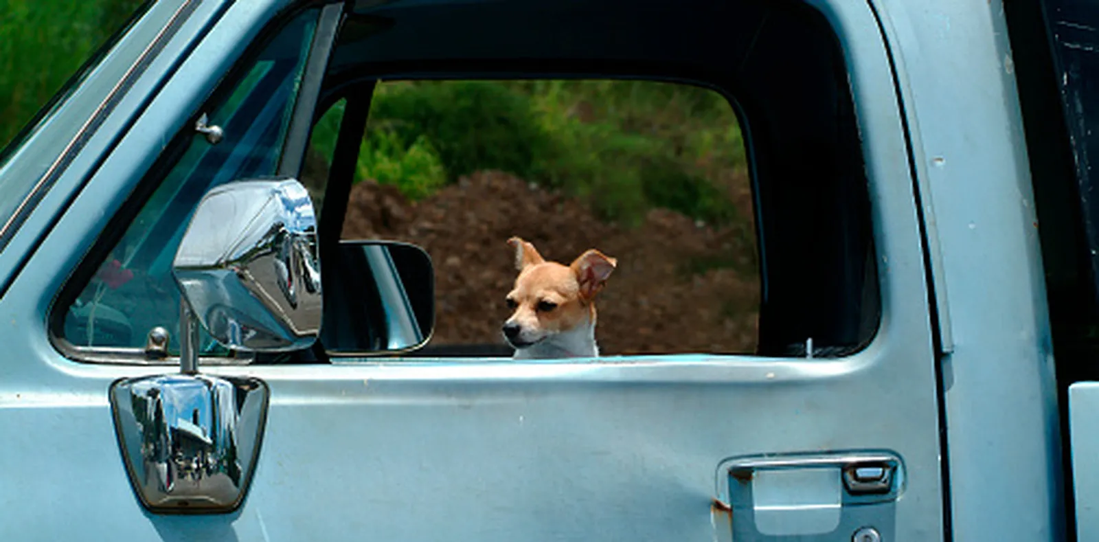 Anjing di Nebraska Tembak Pengemudi Mobil Lain dengan Senapan