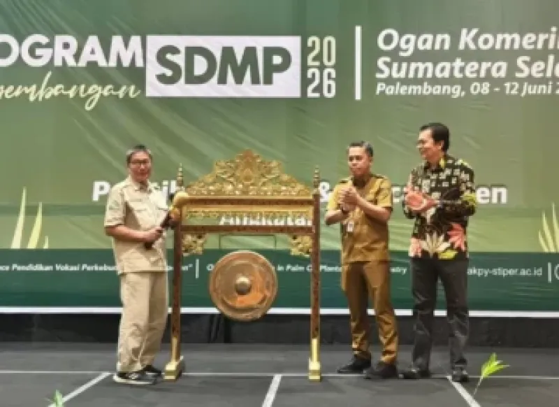 Kementerian Pertanian Selidiki 300 Perusahaan Sawit Terkait Harga TBS