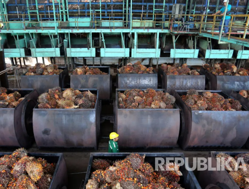 Mentan: Penguatan Dolar AS Seharusnya Dongkrak Harga TBS Sawit 10 Persen
