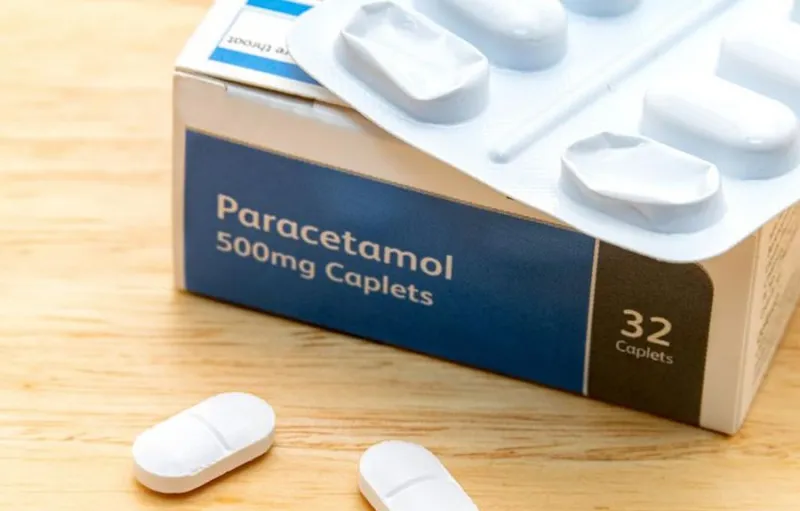 Kementan Tegaskan Tak Ada Rekomendasi Ilmiah Penggunaan Paracetamol untuk Tanaman Cabai