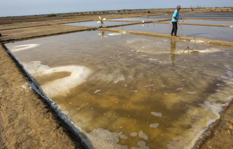 BMKG: El Nino Berpotensi Berlanjut Hingga Awal 2027, Perpanjang Musim Kemarau di Indonesia