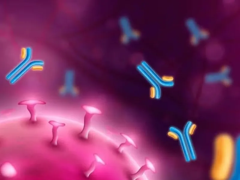 Peneliti Ungkap Mekanisme Pertahanan Antivirus Unik pada Anemon Laut