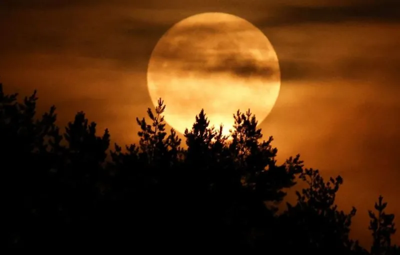Fenomena Strawberry Moon Sajikan Pemandangan Langit Memukau di Seluruh Dunia