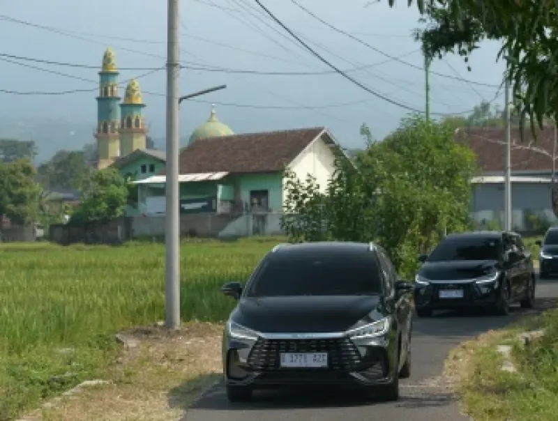 Pangsa Pasar Kendaraan Listrik Murni Meningkat, Mobil Hibrida Plug-in Mengalami Penurunan