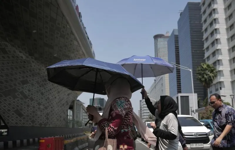 BMKG: Sejumlah Wilayah Berpotensi Hujan Sedang hingga Lebat dan Angin Kencang