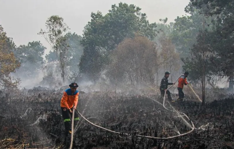 BMKG Laporkan 5.019 Titik Panas Terdeteksi, Waspadai Peningkatan Risiko Karhutla