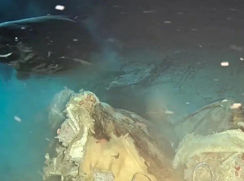 Peneliti Rekam Penampakan Hiu Tidur Pasifik Raksasa di Laut China Selatan