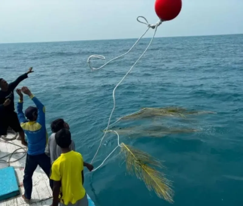 PLN Dorong Pengurangan Konsumsi BBM Nelayan di Pulau Sabira Lewat Program Konservasi