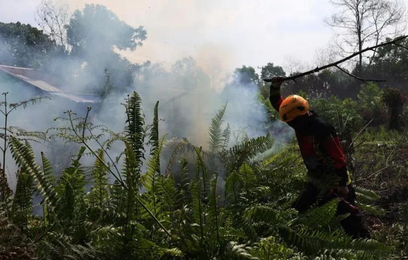 BMKG: Asap Karhutla Kalbar Berpotensi Melintasi Perbatasan ke Malaysia