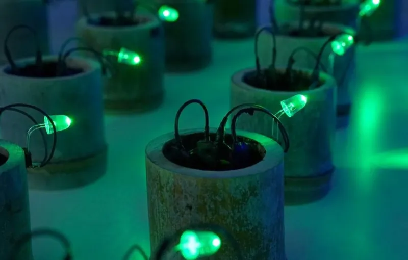 Inovator Jepang Kembangkan Teknologi Energi Listrik dari Tanah
