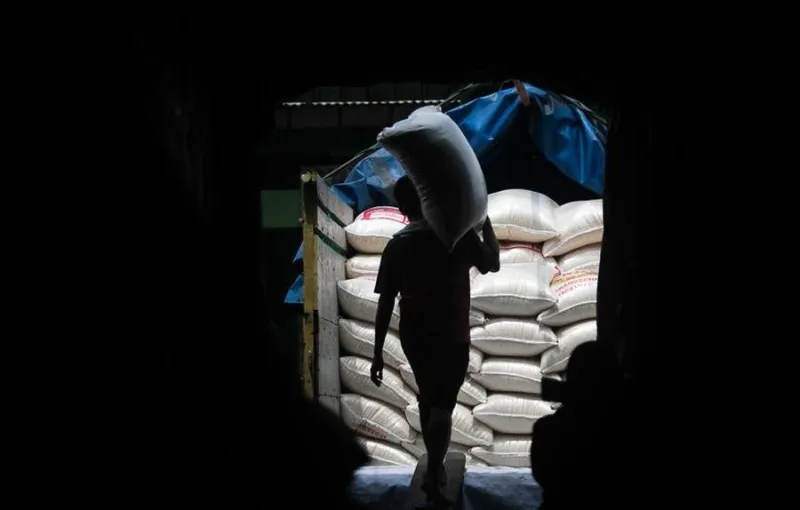 Indonesia Capai Swasembada Beras, Perkuat Kedaulatan Pangan Nasional