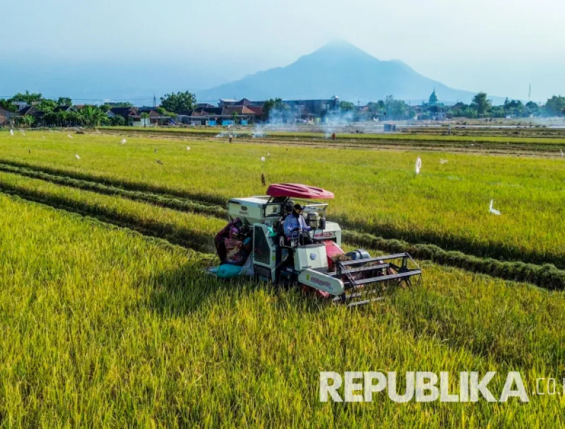 Aceh Barat Salurkan Dana Swakelola untuk Pulihkan 1.308 Hektare Sawah Pasca-Banjir