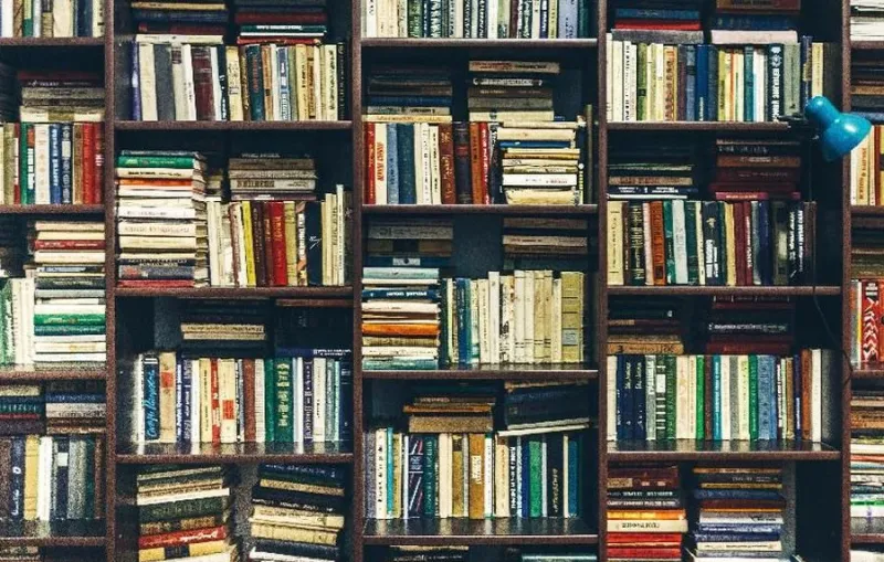 Perusahaan AI Lakukan Pemusnahan Jutaan Buku Bekas untuk Pelatihan Model