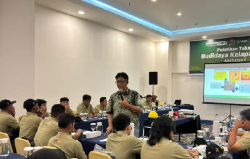 Petani Sawit Tolak Moratorium Pabrik Baru, Usulkan Penataan Berbasis Kemitraan