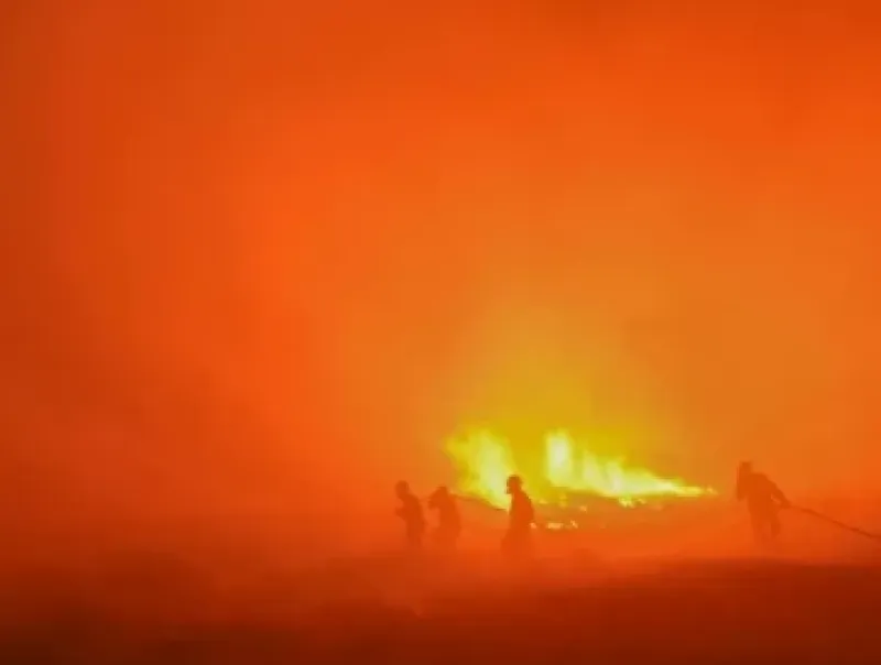 APHI dan GAPKI Ajak Anggota Tingkatkan Upaya Pencegahan Kebakaran Hutan dan Lahan