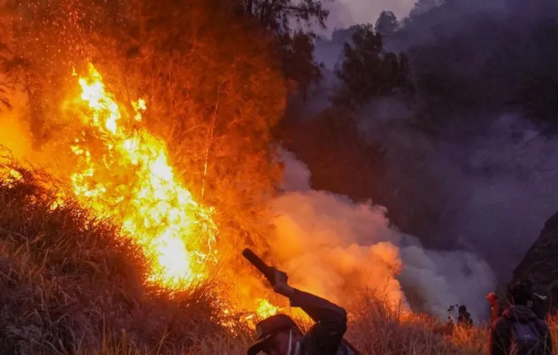 BMKG: El Nino Kuat Perparah Kemarau Ekstrem dan Potensi Karhutla