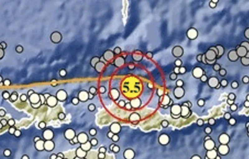 BMKG: Gempa Flores Berpotensi Susulan Hingga 3 Pekan Akibat Sesar Naik