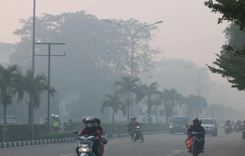 Kualitas Udara Pontianak Memburuk Akibat Karhutla, Capai Kategori Tidak Sehat