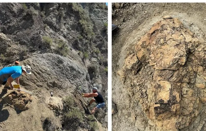 Jejak Kaki T‑rex Dewasa Pertama Ditemukan di North Dakota, Usia 66,5 Juta Tahun