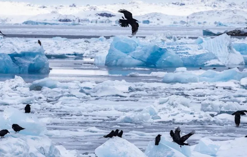 Es Greenland dan Antarktika Berkurang 11,3 Triliun Ton Sejak 1970-an