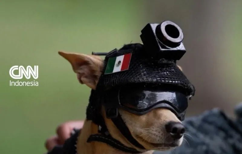Chihuahua Comando Direkrut Garda Nasional Meksiko