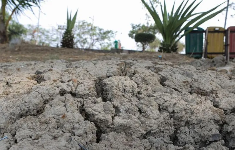 Pakar Proyeksikan El Nino Berpotensi Pecahkan Rekor pada Akhir 2026