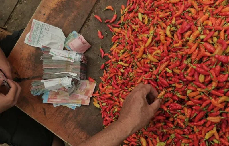 Harga Cabai Rawit di Sumut Tembus Rp100 Ribu per Kg