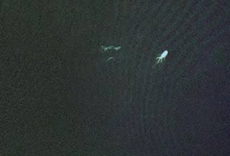 Tiga Bentuk Misterius Terlihat di Loch Ness melalui Google Earth