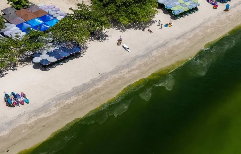 Ledakan Plankton Membuat Laut Thailand Tampak Hijau